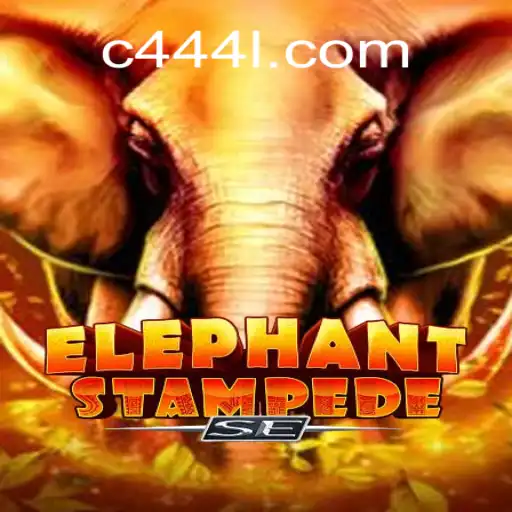 c444.game Bingo online